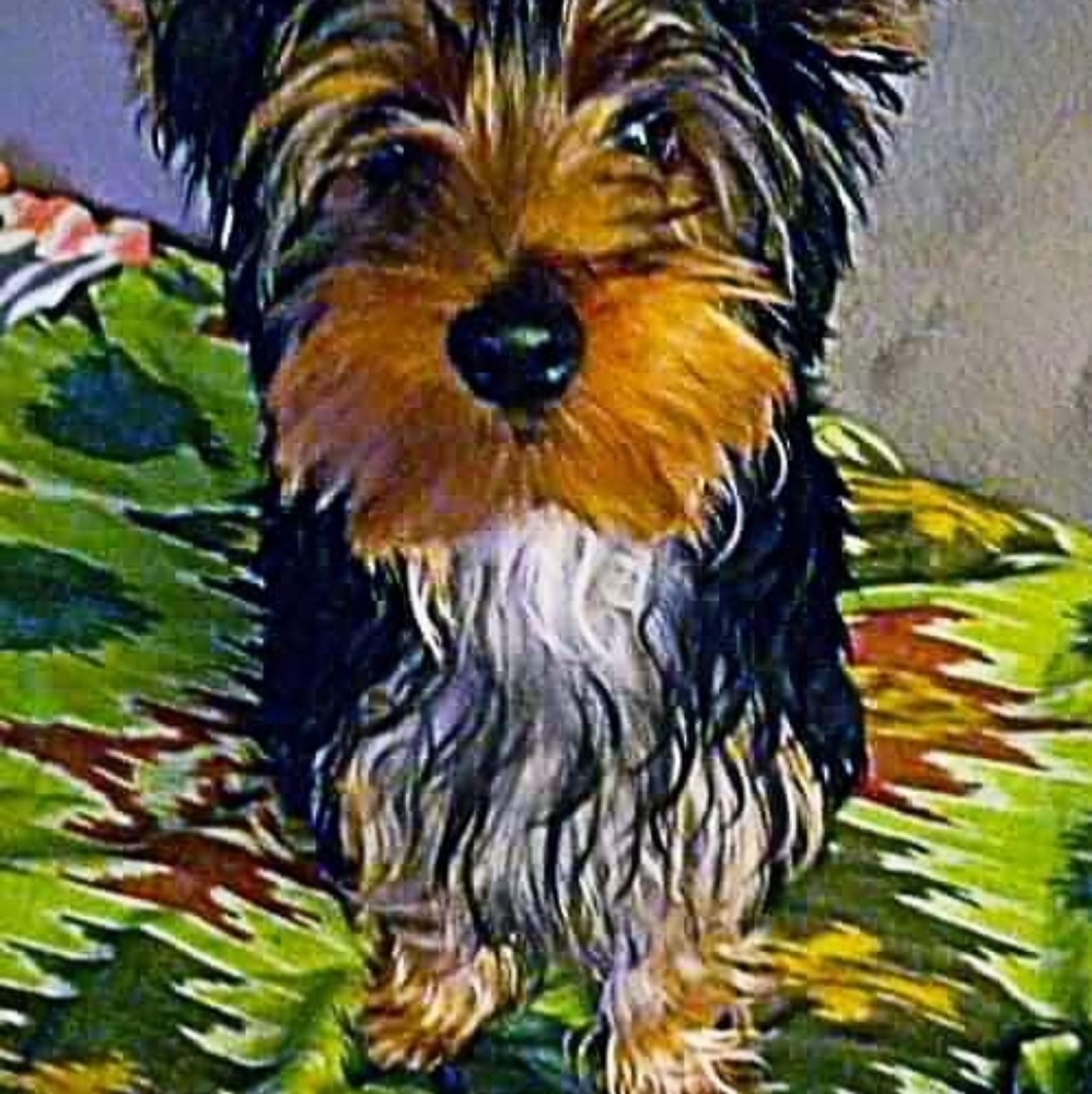 Meet your Posher, Kelly